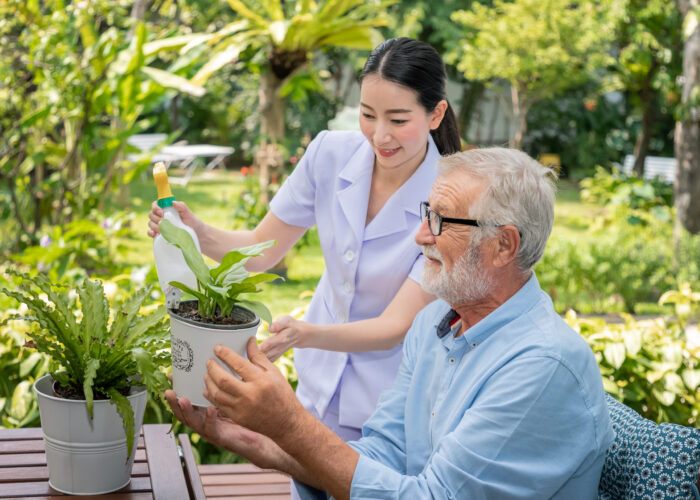 Caregiver help assist senior old man eldery puring water and taking care small tree on table